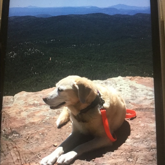 Meet your Posher, Pat - Picture 3 of 8